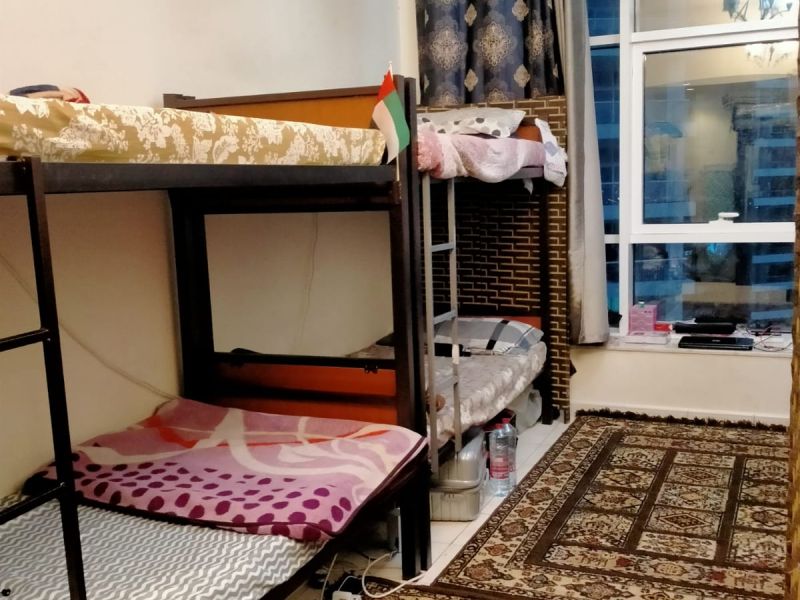 Bunker bed available for male in tecom barsha heights