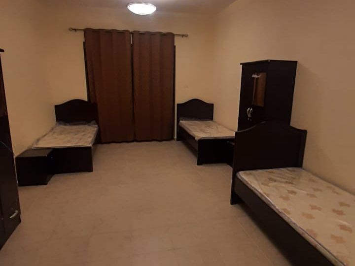 bedspace available for executive male in TECOM ready to move in