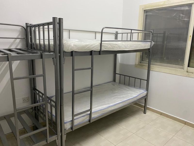 Executive Bed space available in Burdubai