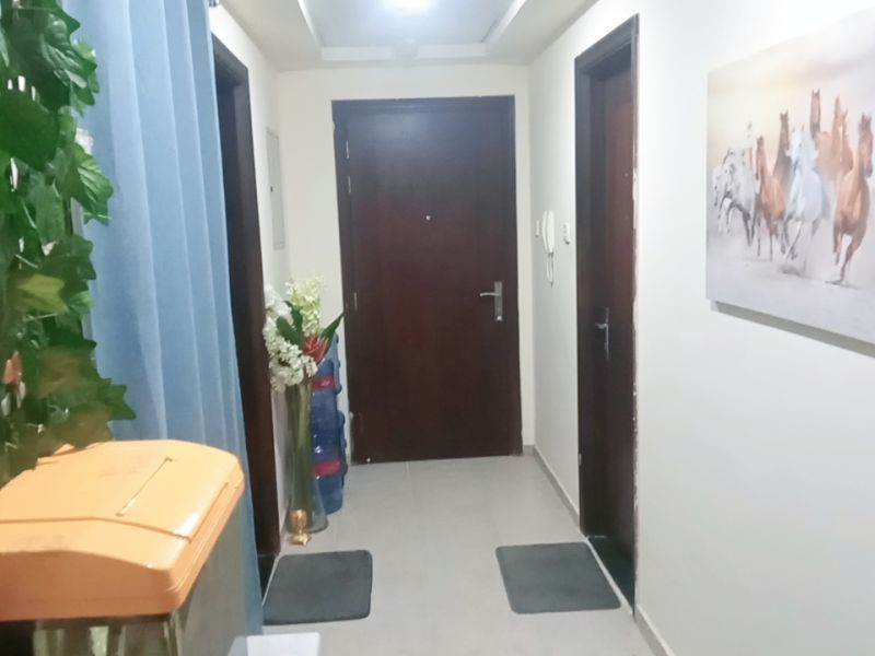 Elegant room available  in tecom near metro For Indians only