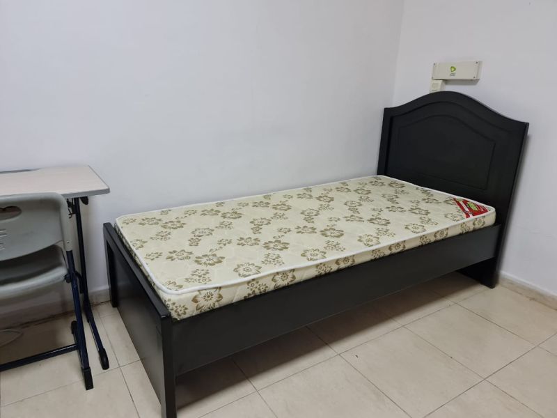 Executive bed space in Barsha 2