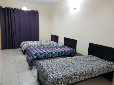 Burdubai - Bed space available for Executive Bachelors